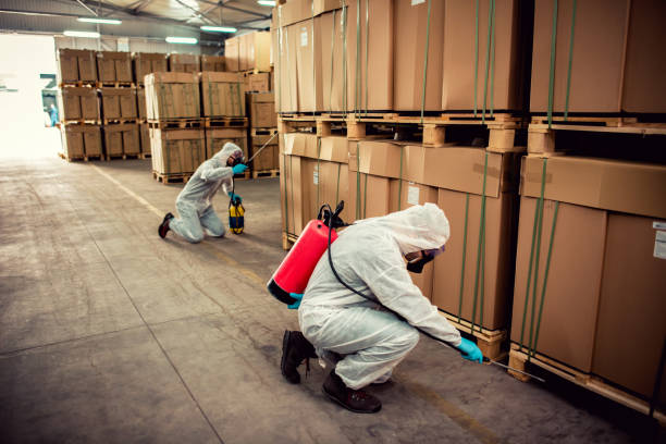 Best Pest Prevention Services  in Sapulpa, OK