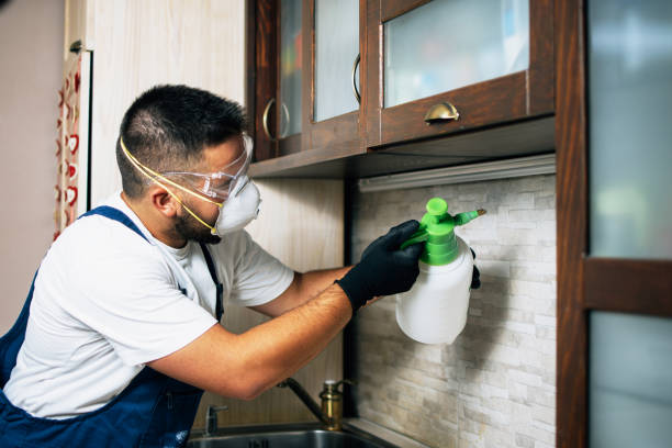 Best Mosquito Control Services  in Sapulpa, OK