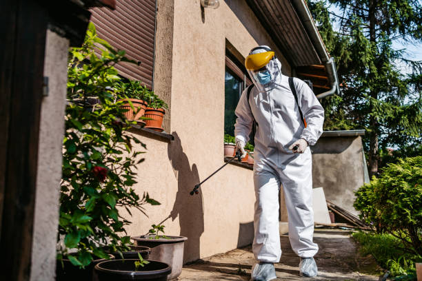 Best Affordable Pest Control Services  in Sapulpa, OK
