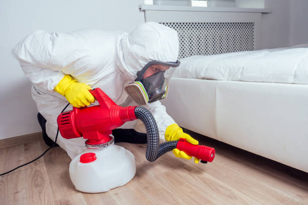 Best Best Pest Control Companies  in Sapulpa, OK