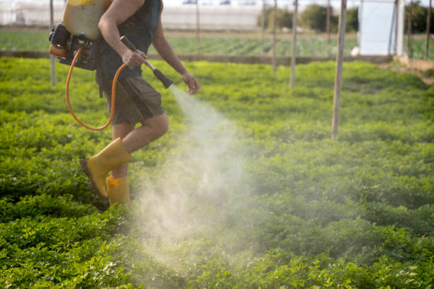 Best Pest Inspection Near Me  in Sapulpa, OK