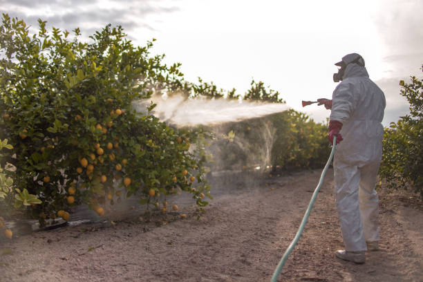 Best Pest Removal Services  in Sapulpa, OK