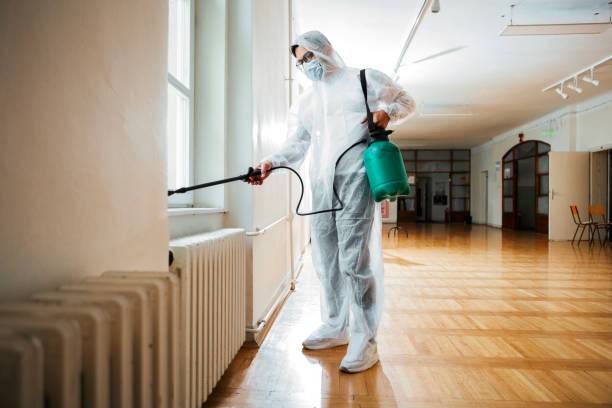 Best Mosquito Control Services  in Sapulpa, OK