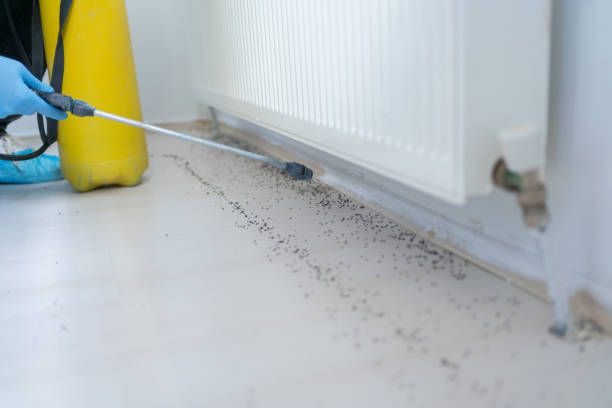 Best Wildlife Control Services  in Sapulpa, OK