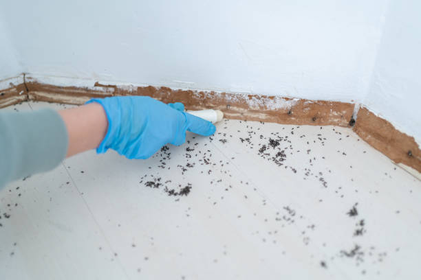 Pest Control Cost in Sapulpa, OK