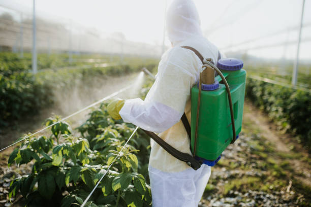 Best Bed Bug Extermination  in Sapulpa, OK